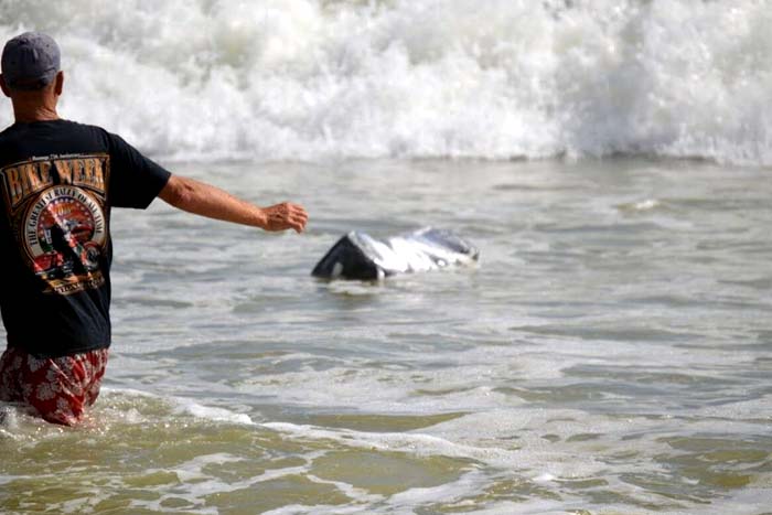 Pacotes com maconha aparecem em praias da Flórida após passagem do furacão Florence