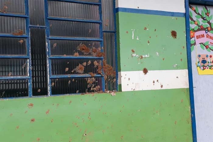 Vândalos danificam escola municipal de educação Infantil Sonho Meu