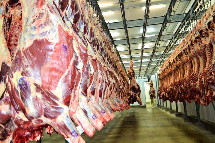 Tecnologia internacional deve ampliar competitividade da carne bovina rondoniense no mercado chinês
