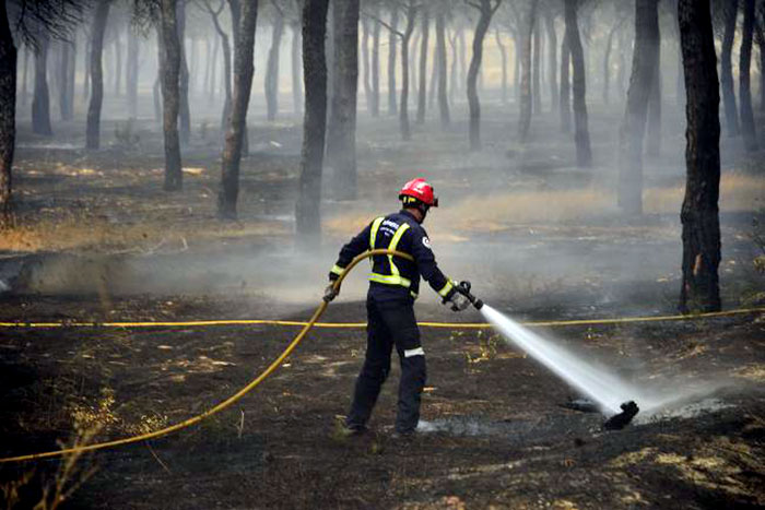 Incêndio florestal força a remoção de 1.500 pessoas na Espanha  ​​​​​​​