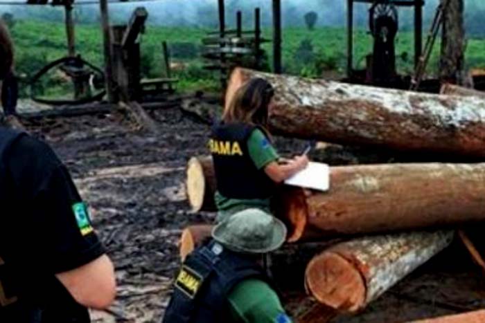 TRF1 reforma decisão da Vara Federal sobre extração de madeira 