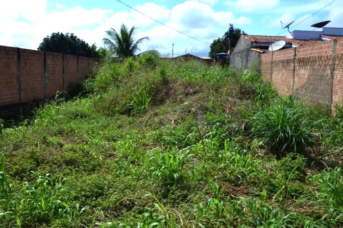 Prefeitura multou quase 400 proprietários de terrenos baldios sujos no último bimestre.