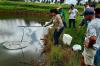 A ação da Emater no distrito de Rondominas visa promover boas práticas de manejo na piscicultura