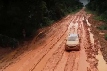 Licitação para asfaltamento da BR-319 é anunciada pelo DNIT; estrada liga Rondônia ao Amazonas