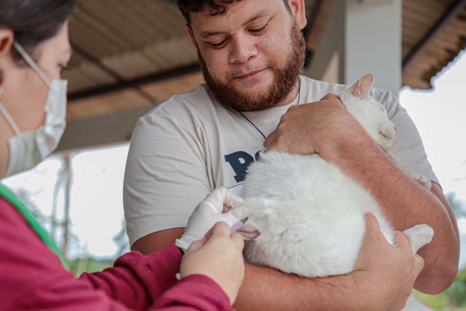 Mais Mil C Es E Gatos Foram Vacinados Contra A Raiva Em Geral