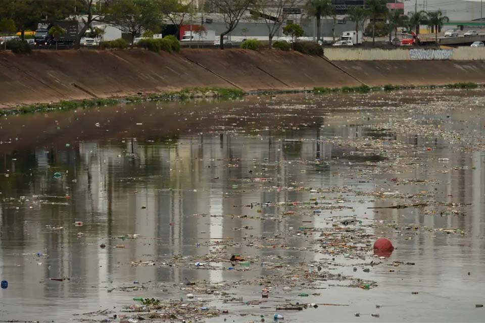 Qualidade da água na Mata Atlântica melhora, mas alerta persiste