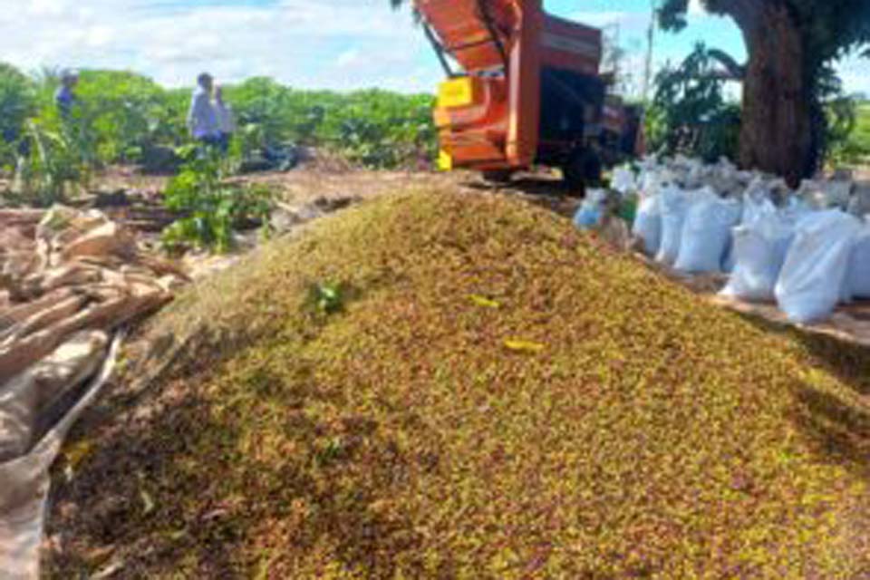 Associação de produtores da linha 208 é contemplada com recolhedora de café