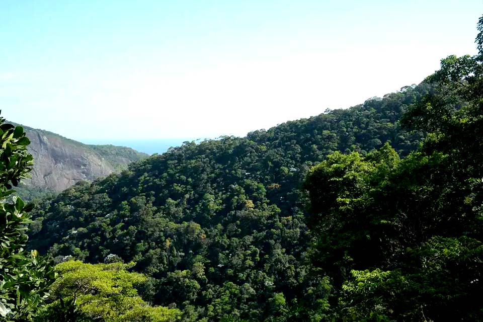 Propostas para o Plano Clima serão debatidas nos biomas brasileiros