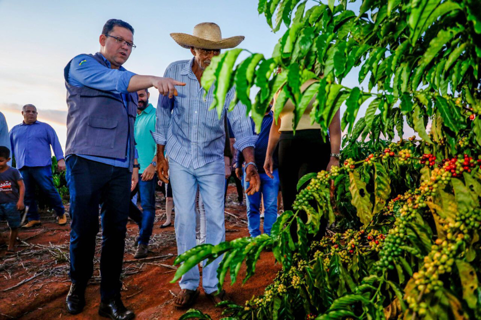 Expectativa do Governo é de que a cafeicultura possa gerar pelo menos US$100 milhões em exportação até o fim do ano