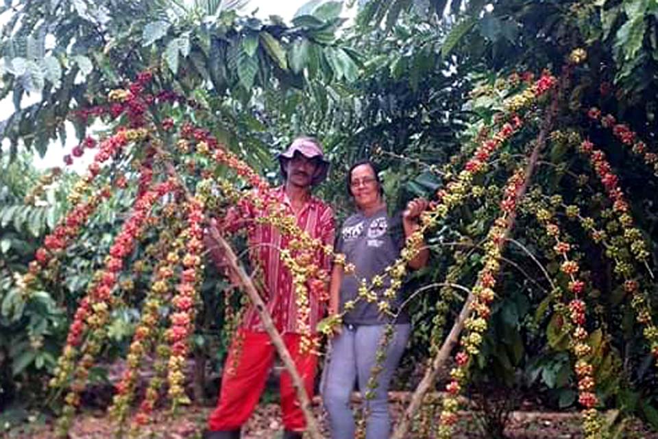 Cerrado Amazônico de Vilhena aprimora produção de Café Especial em Rondônia