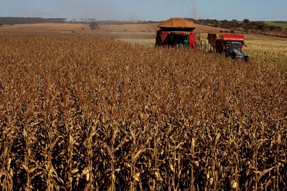 Área reservada à agropecuária no país cresceu 50% em 37 anos