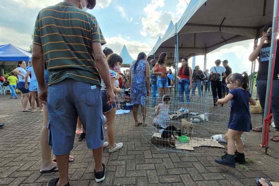 3ª Feira de Adoção de Animais proporciona novos lares a cães e gatos em Porto Velho