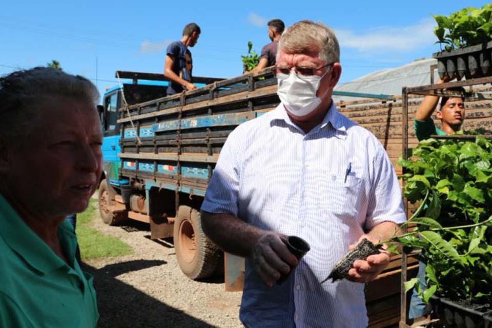 Vice-Prefeito participa de entrega de mudas de café e cacau clonal aos produtores rolimourenses