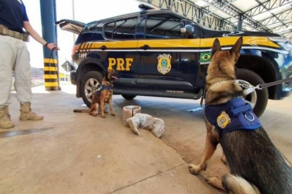 Peruanas são presas em MT levando cocaína nas pernas de Rondônia para SP