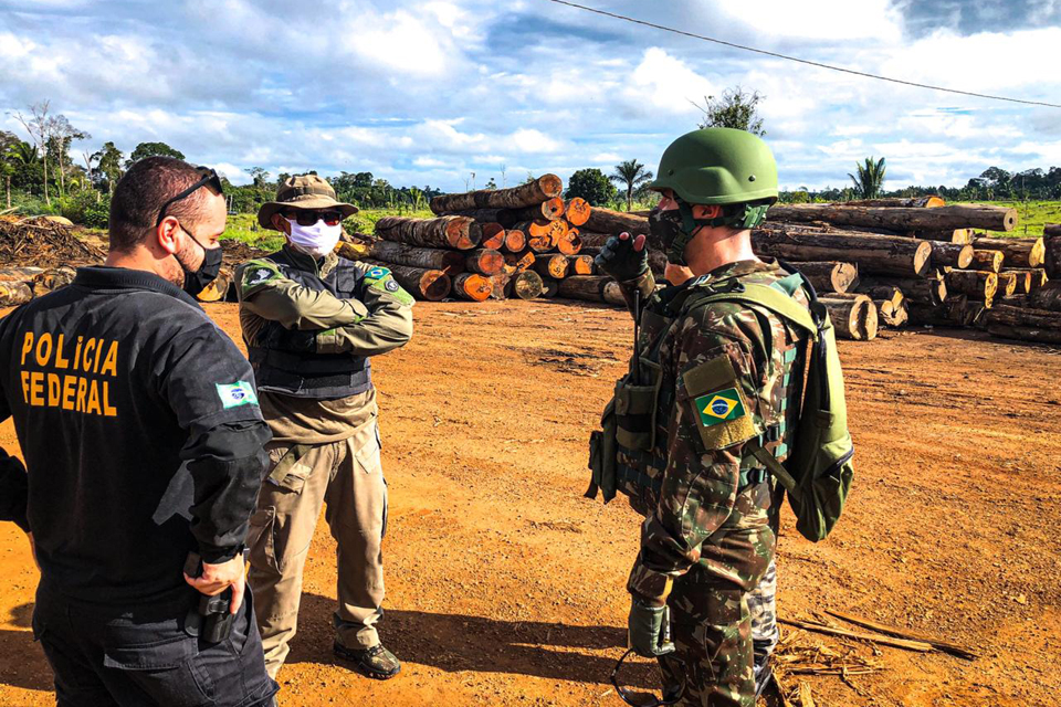 Operação da PF desmonta organização criminosa de exploração ilegal de madeira