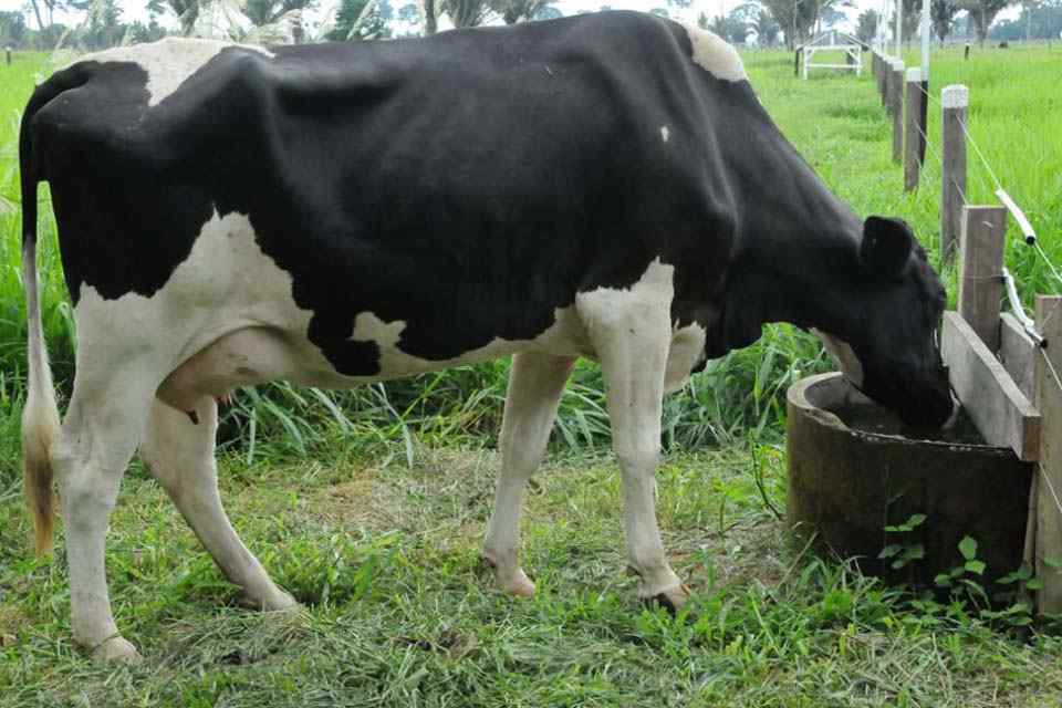 Parceria vai oportunizar condições de igualdade aos agricultores familiares de Rondônia