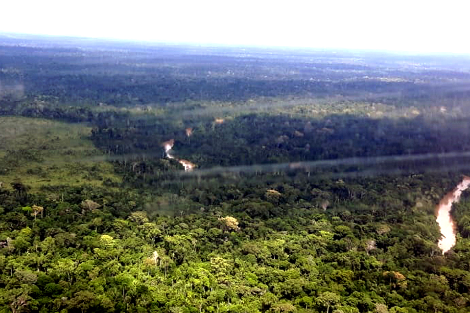 Câmara Ambiental do MPF afirma que lei de Rondônia que reduziu limites de unidades de conservação é inconstitucional