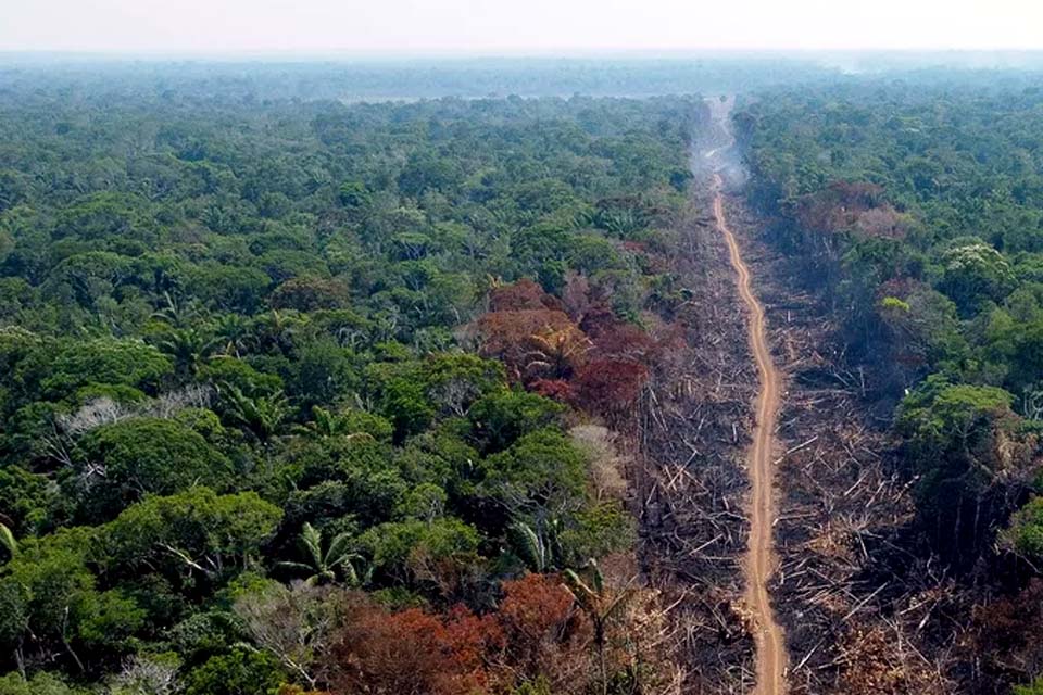 Amazônia: 2022 já tem pior marca da série histórica de alertas de desmate do Inpe