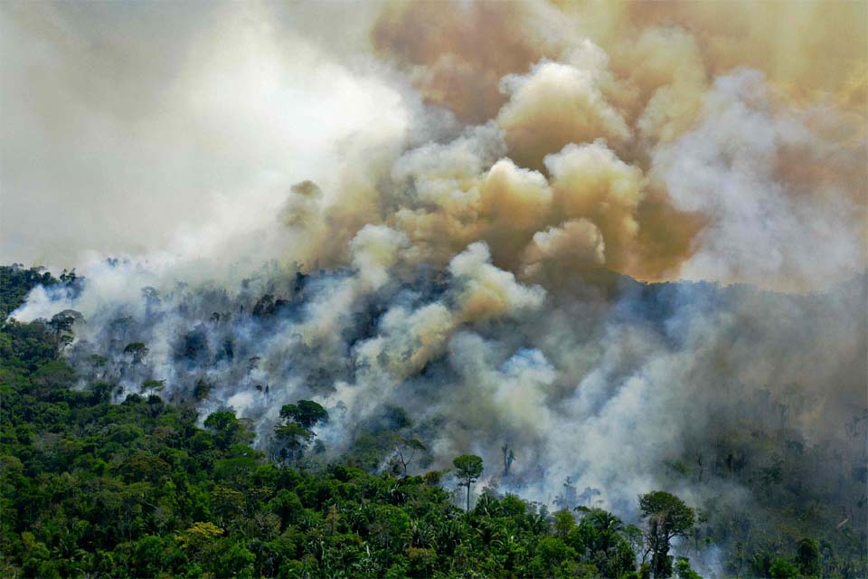 Amazônia tem aumento de 8% nos incêndios em julho em comparação ao ano passado