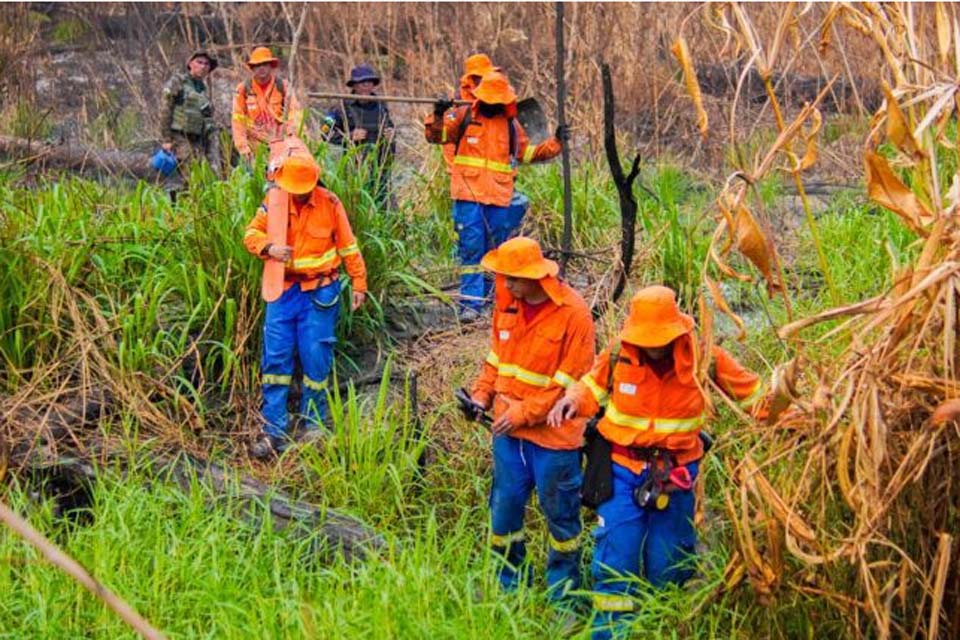 Publicado pelo governo de Rondônia edital para contratação temporária de brigadistas estaduais