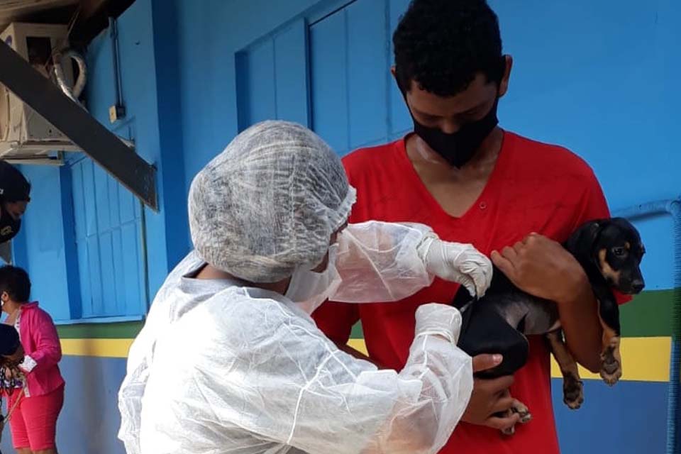 Mais de 36 mil cães e gatos foram imunizados no Dia D de vacinação antirrábica em Porto Velho