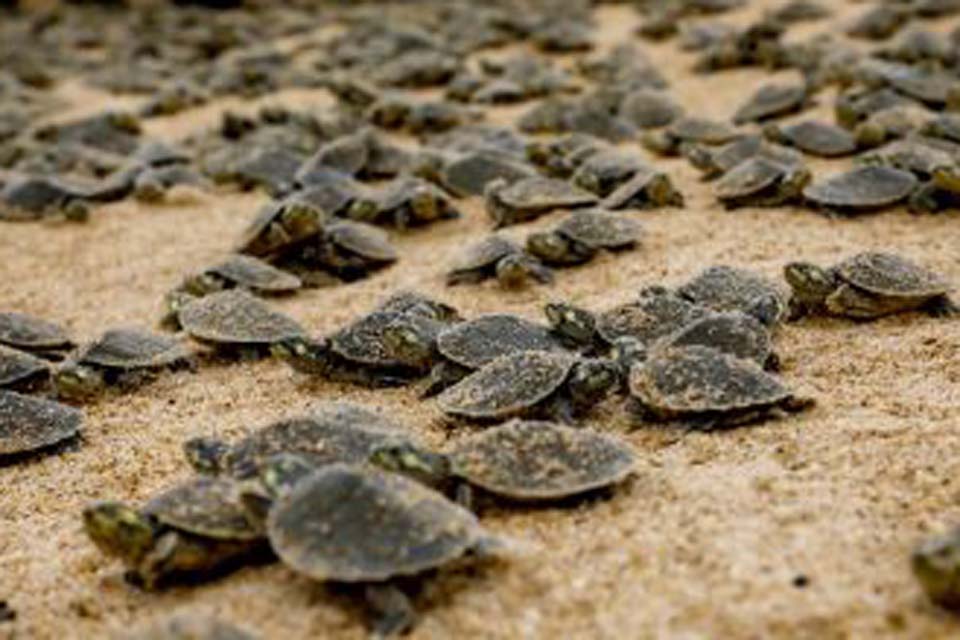 Sedam realizou ações de conscientização para a preservação da natureza aos rondonienses