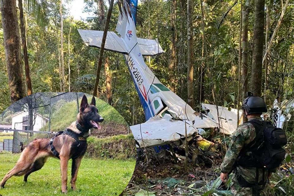 Exército suspende buscas por Wilson, herói do resgate de crianças na selva