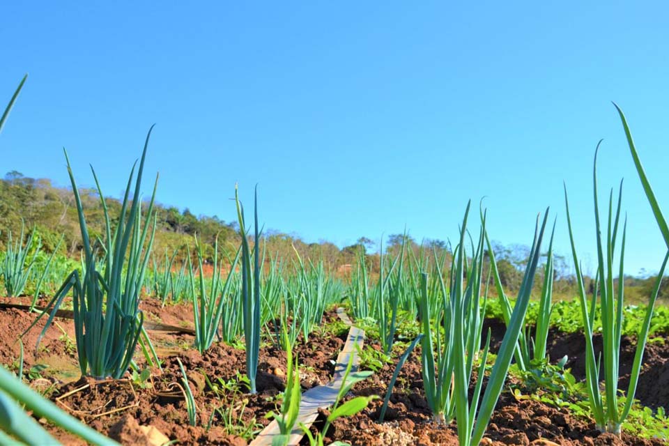 Programa Municipal de Aquisição de Alimentos da Agricultura Familiar é instituído