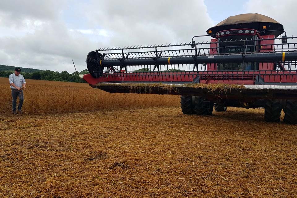 Rondônia tem aumento de 4,8% na exportação agropecuária no primeiro semestre de 2020