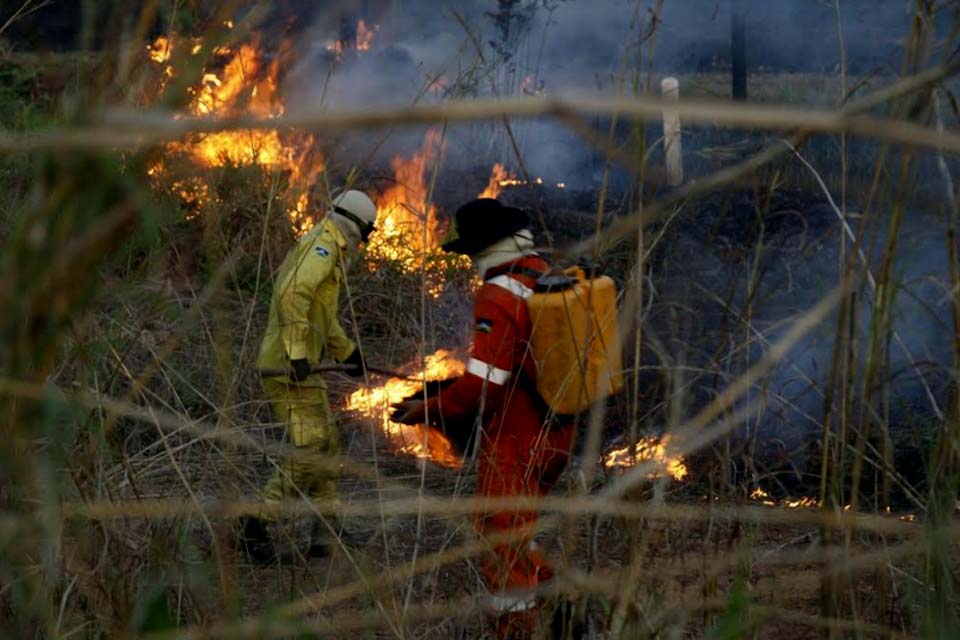 Sedam promoverá ações de combate e prevenção às queimadas em alusão ao Setembro Cinza