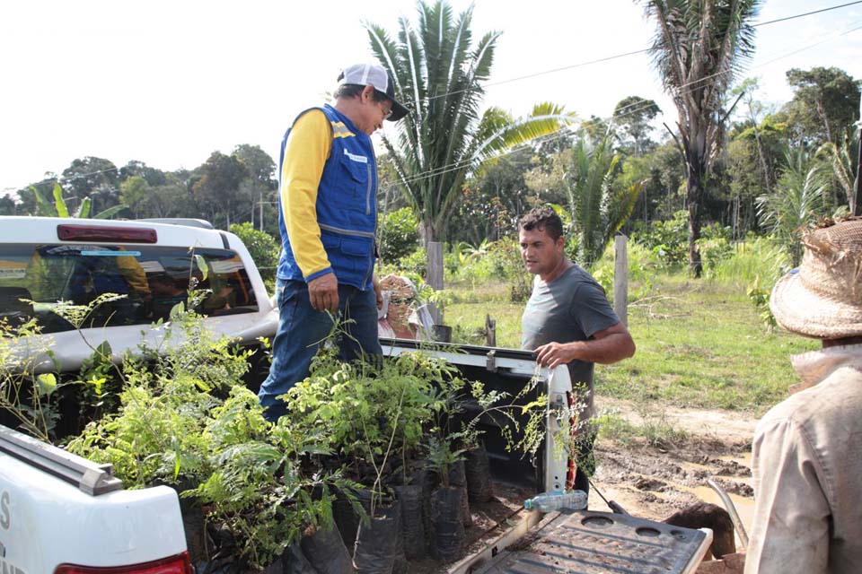 Doações de mudas para os moradores de Porto Velho incentiva a arborização na cidade