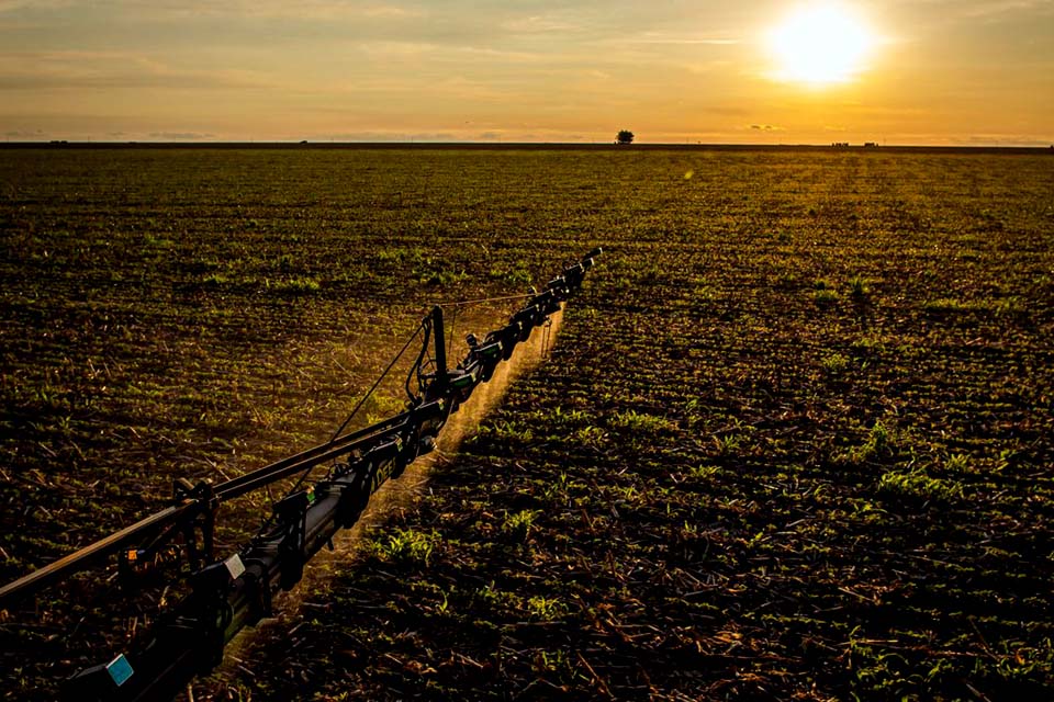 IBGE: 32% dos solos do país têm potencial natural para a agricultura