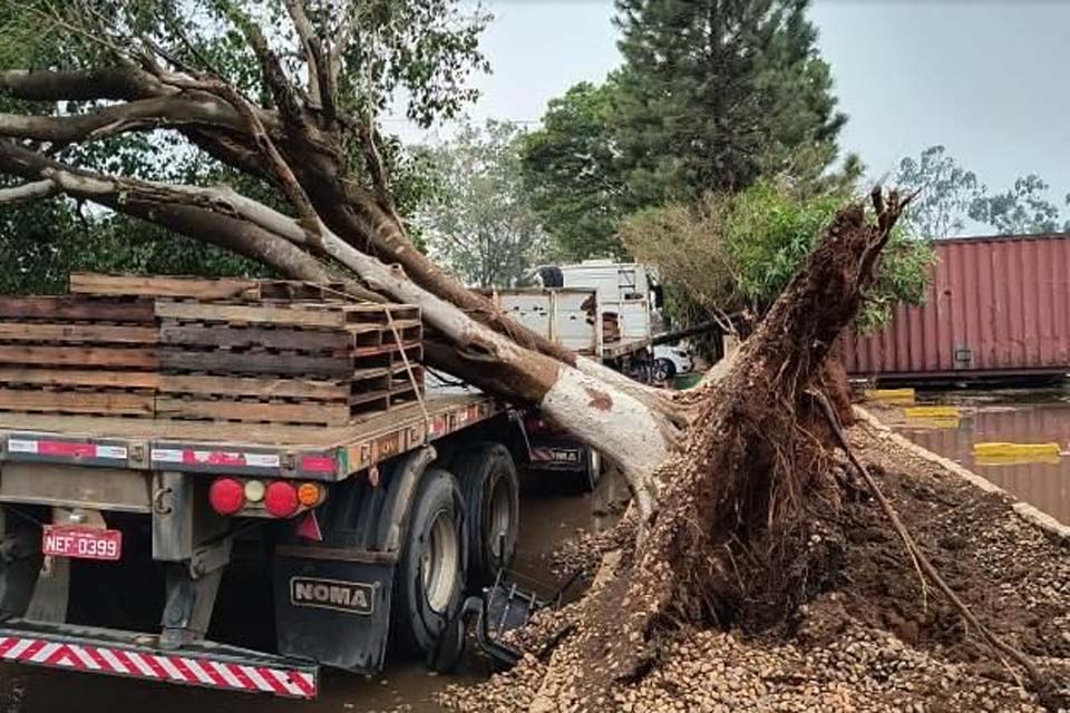 Temporal causa transtornos e prejuízos em Vilhena