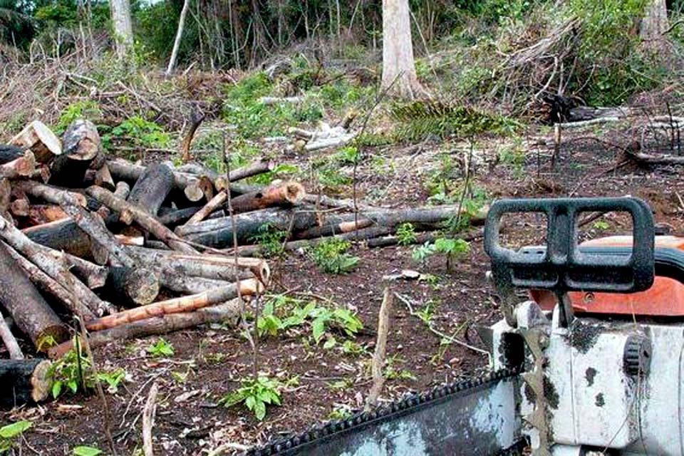  Alertas de desmatamento na Amazônia superam 1 mil km² pela 1ª vez em abril