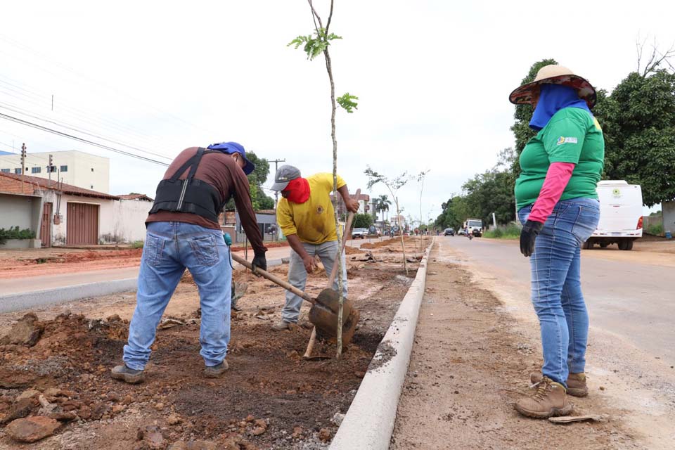 Porto Velho: Rua Venezuela recebe projeto de infraestrutura e paisagismo