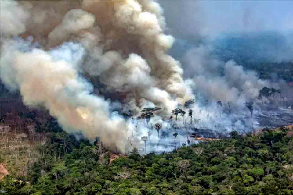 Desmatamento na Amazônia cresce quase 57% no governo Bolsonaro, diz Ipam