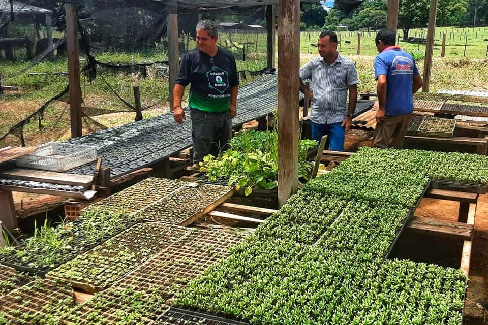 Agricultores de Costas Marques recebem incentivo para produção de hortaliças