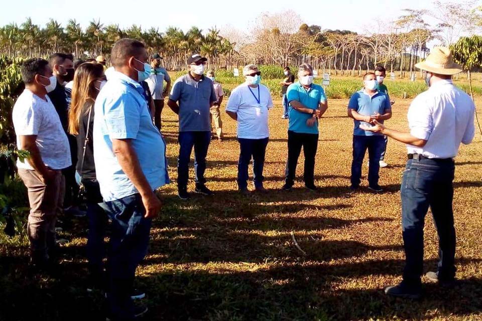 Embrapa Rondônia firma parceria com município do Amazonas para o fortalecimento da cafeicultura