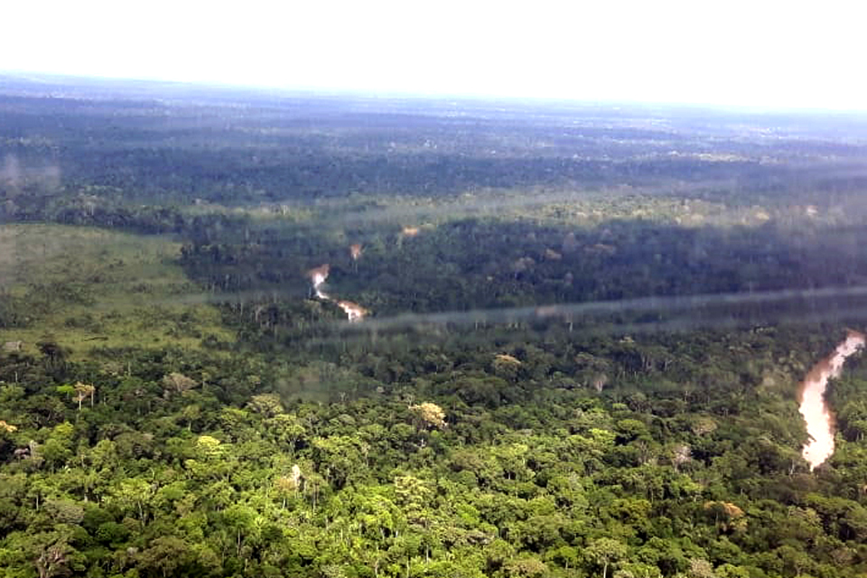 Projeto de crédito de carbono do Parque Estadual de Guajará-Mirim é enviado à Assembleia Legislativa