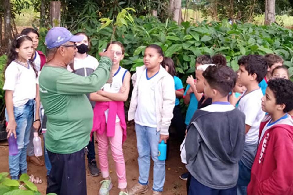 Escolas visitam viveiro municipal na Semana Nacional do Meio Ambiente