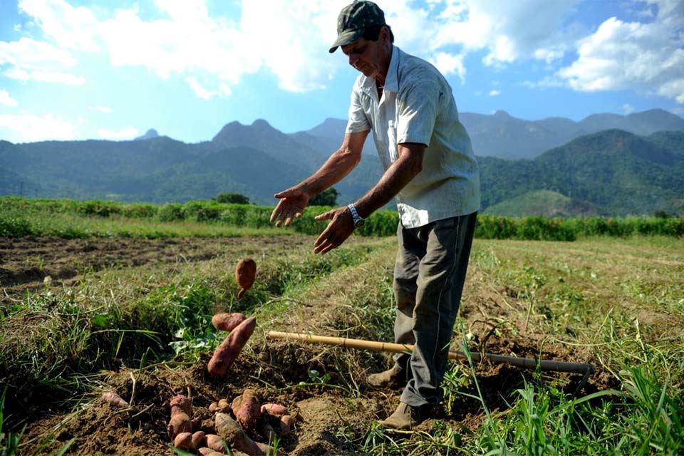 Projetos de agricultura sustentável vão receber US$ 1,2 bi do BID