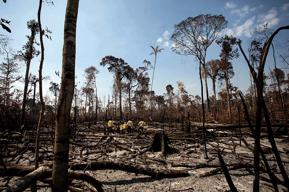 Desmatamento na Amazônia cai em setembro, aponta o Instituto Nacional 