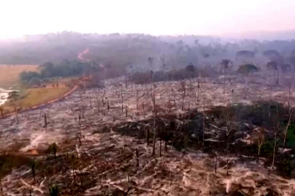 Pastos e lavouras são destruídos por incêndio no município