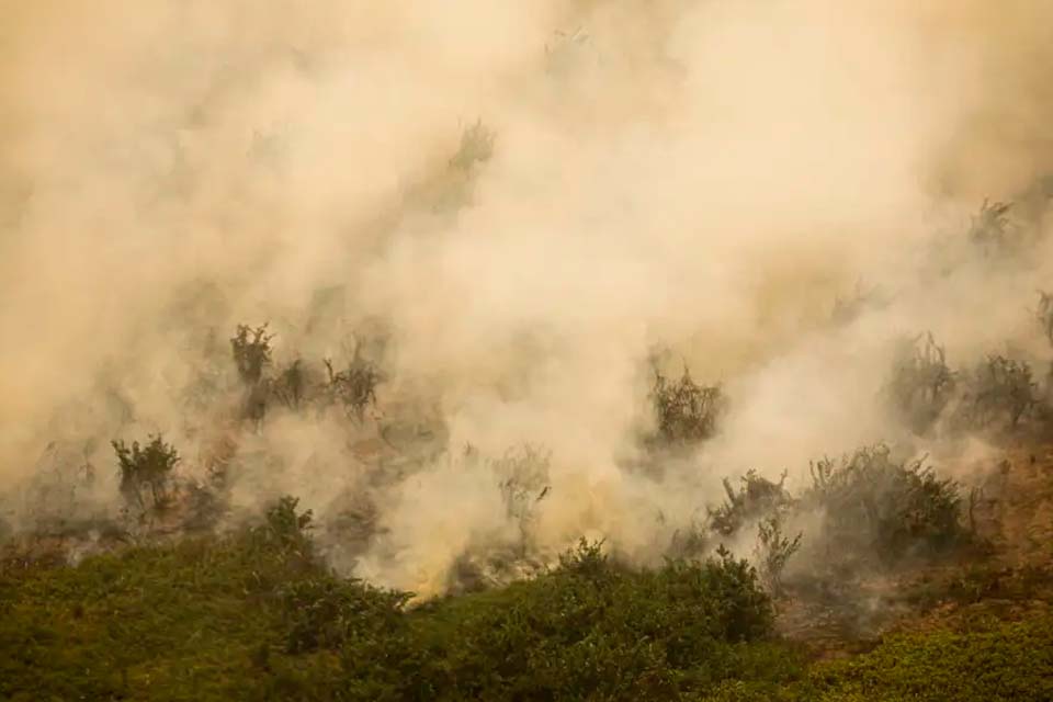 Pantanal poderá ter crise hídrica histórica em 2024, aponta estudo