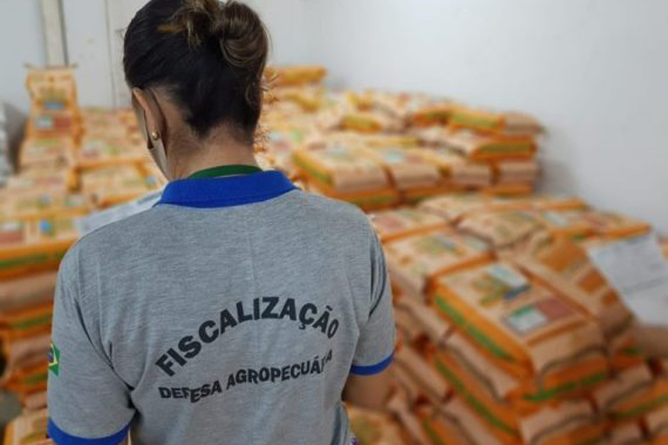 Idaron faz coleta de amostra de sementes de pastagem para atestar a qualidade de germinação