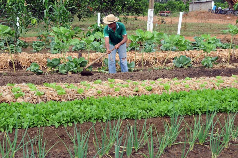 Agricultores de Rondônia serão homenageados em exposição de produtos da agricultura familiar nesta sexta-feira, 28