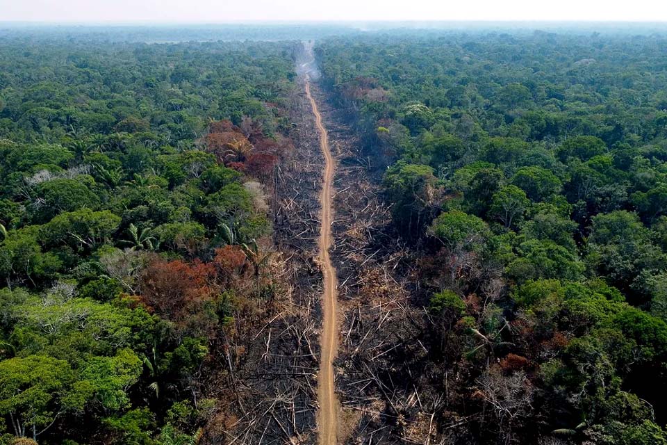 Alertas de desmate na Amazônia têm pior setembro da série histórica, aponta Inpe