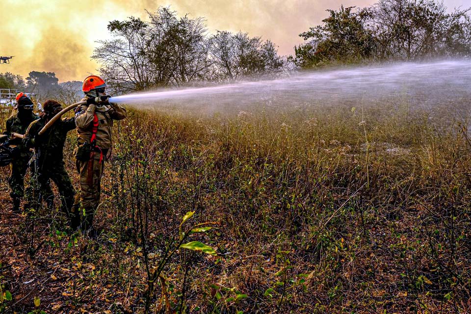 Governo manda 71 soldados para reforçar combate a fogo no Pantanal