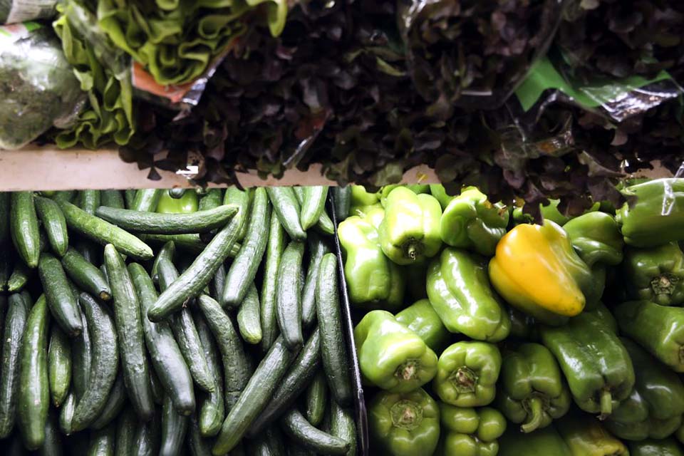 Pesquisa mostra que alimentos na mesa não refletem biodiversidade