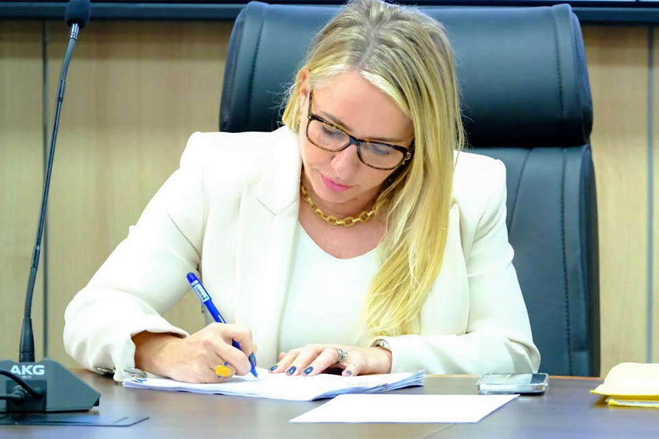 Ieda Chaves recomenda medida para excluir fraldas da substituição tributária em Rondônia